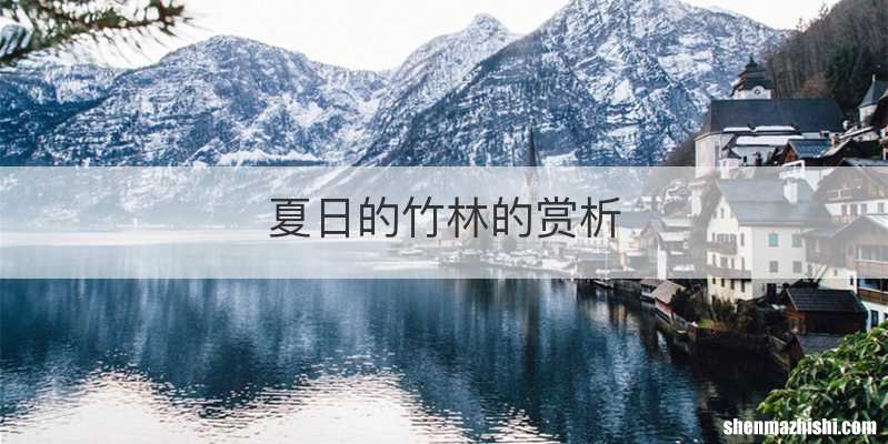 夏日的竹林的赏析