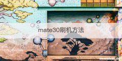 mate30刷机方法