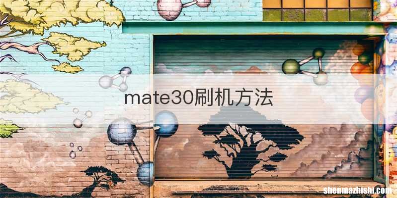 mate30刷机方法