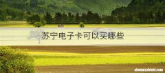 苏宁电子卡可以买哪些