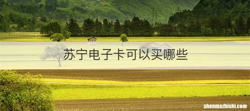 苏宁电子卡可以买哪些