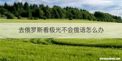 去俄罗斯看极光不会俄语怎么办