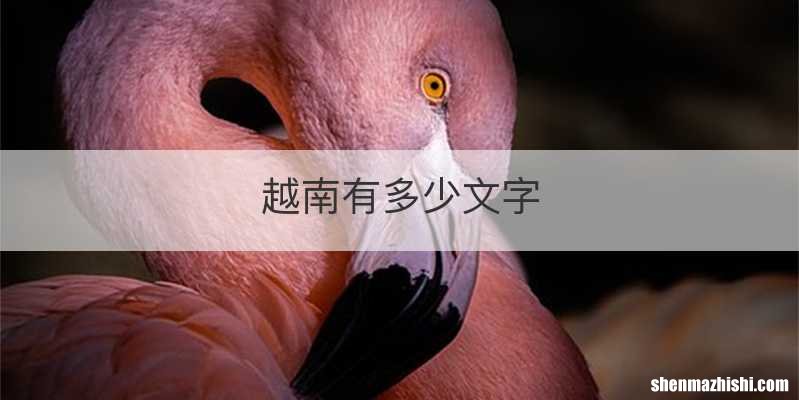 越南有多少文字
