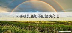 vivo手机到底能不能整晚充电