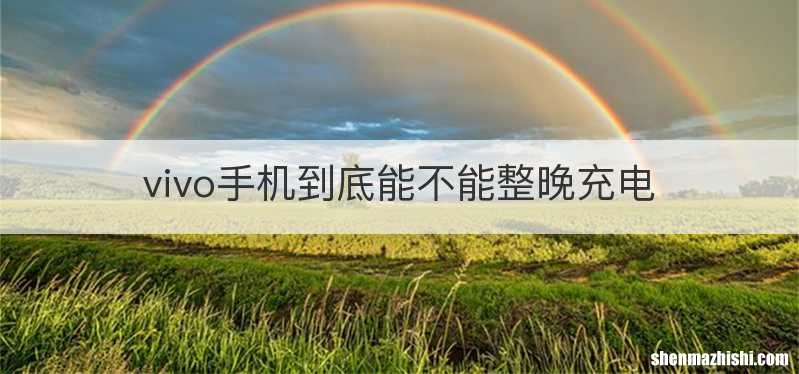 vivo手机到底能不能整晚充电
