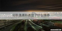 仰聆萧萧吟表达了什么情感