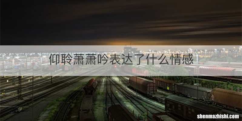 仰聆萧萧吟表达了什么情感