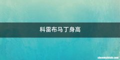 科雷布马丁身高