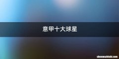 意甲十大球星
