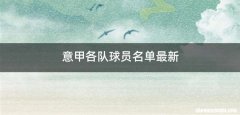 意甲各队球员名单最新
