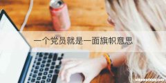 一个党员就是一面旗帜意思