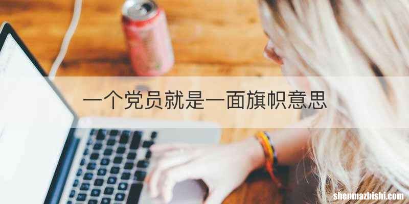 一个党员就是一面旗帜意思