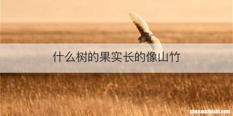 什么树的果实长的像山竹