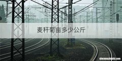 麦秆菊亩多少公斤