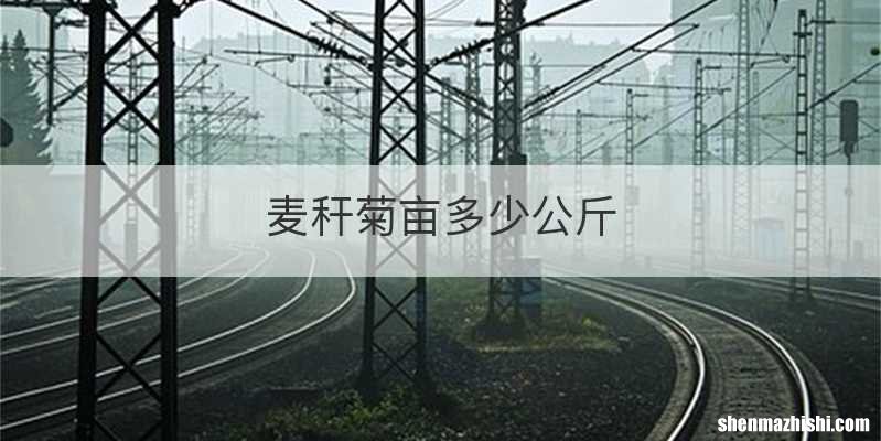 麦秆菊亩多少公斤