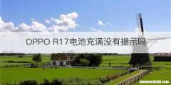 OPPO R17电池充满没有提示吗