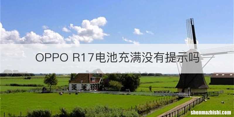 OPPO R17电池充满没有提示吗