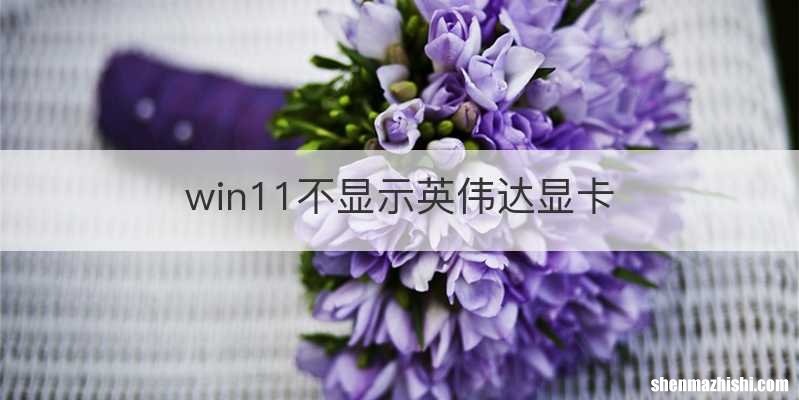 win11不显示英伟达显卡
