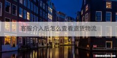 客服介入后怎么查看退货物流