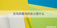 志鸟和誓鸟的含义是什么