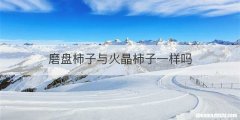 磨盘柿子与火晶柿子一样吗
