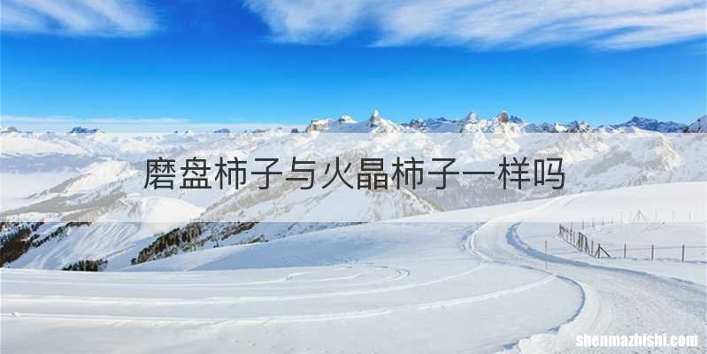 磨盘柿子与火晶柿子一样吗