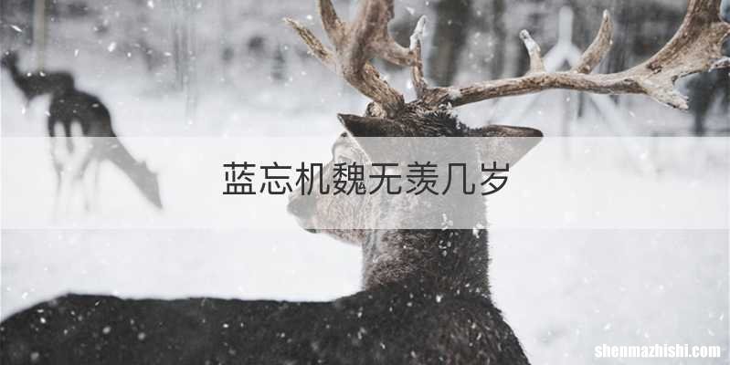 蓝忘机魏无羡几岁