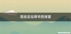 现役足坛辱华的球星