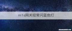 m1s网关经常闪蓝色灯