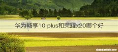 华为畅享10 plus和荣耀x20哪个好