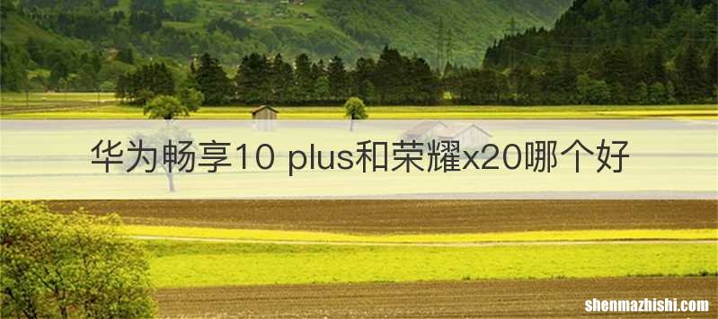华为畅享10 plus和荣耀x20哪个好