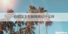 假和田玉石蜘蛛网纹什么样