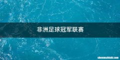 非洲足球冠军联赛