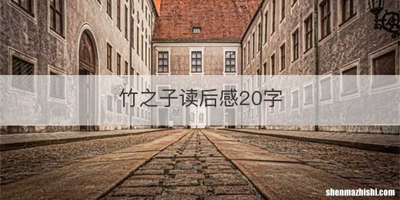 竹之子读后感20字