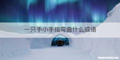 一只手小手指弯曲什么成语