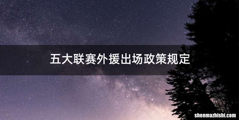 五大联赛外援出场政策规定