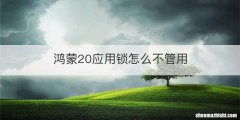 鸿蒙20应用锁怎么不管用