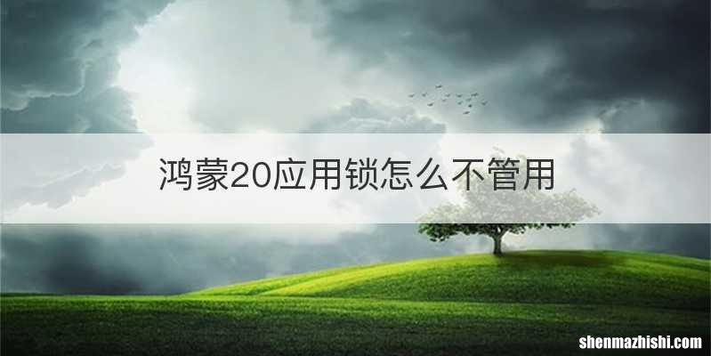 鸿蒙20应用锁怎么不管用