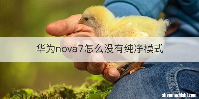 华为nova7怎么没有纯净模式