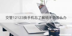 交管12123换手机忘了解锁手势怎么办