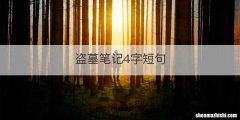 盗墓笔记4字短句