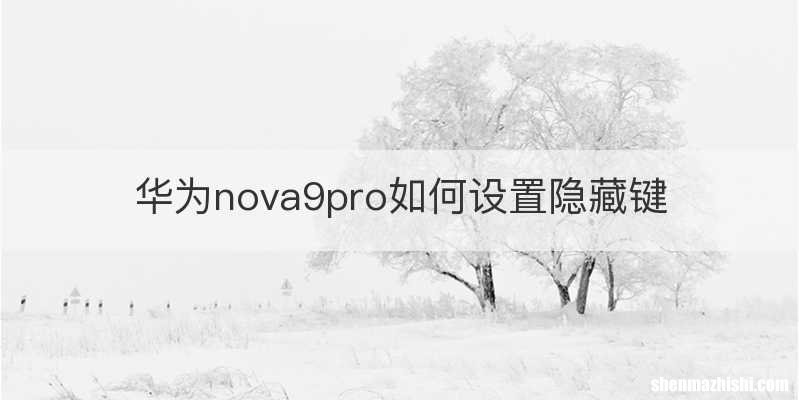 华为nova9pro如何设置隐藏键