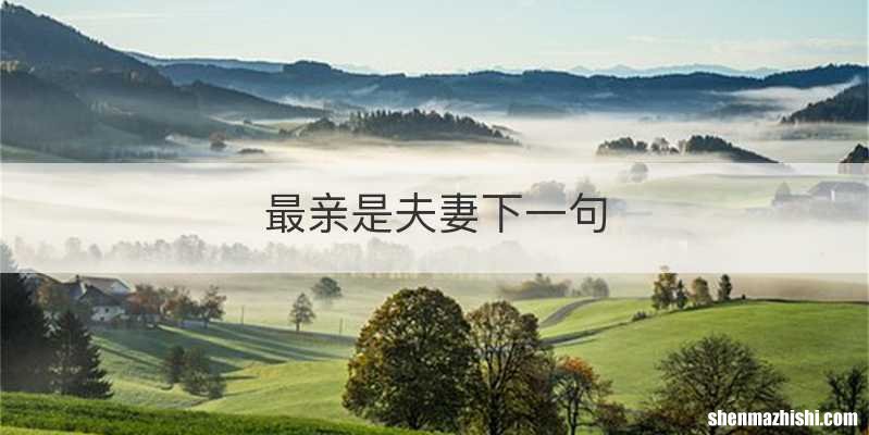 最亲是夫妻下一句