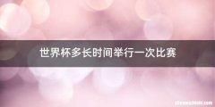 世界杯多长时间举行一次比赛