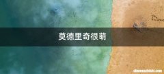 莫德里奇很萌