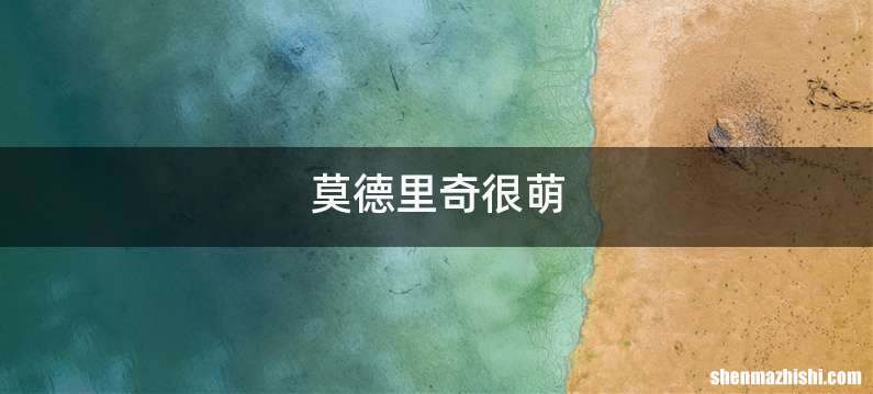 莫德里奇很萌