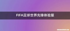 FIFA足球世界先锋体验服