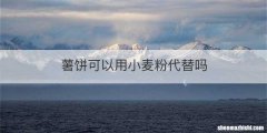 薯饼可以用小麦粉代替吗