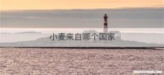 小麦来自哪个国家