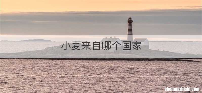 小麦来自哪个国家